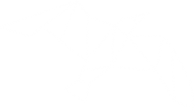 magis-big-logo-min magis-big-logo-min
